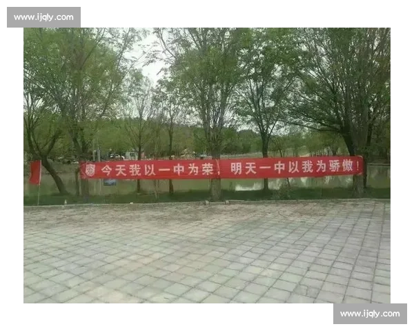 泪水与汗水交织,英雄之路,谁是最终赢家 泪水与汗水交织,英雄之路,谁是最终赢家